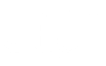 Styli
